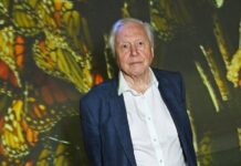 Sir David Attenborough’s quiet home life where property prices average £981k