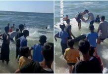 Flotilla: nonostante il blocco di Israele, la nave senza equipaggio con gli aiuti raggiunge Gaza