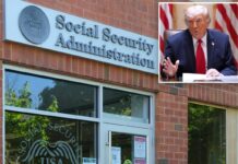 Social Security Administration fires 7,100 staffers in historic cuts, leaving ‘cases stuck in purgatory’