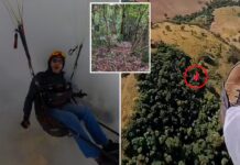 Pilot filmed horrific moment paraglider crashed and plummeted to his death