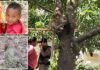 Schoolboy, 7, mauled to death by grandfather’s crazed pet monkey