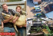Boy, 3, was thrown into crocodile pit by man with learning disabilities deemed unfit for police interview
