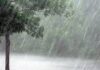 Heavy Rains Predicted In Western Ghats Region Of Tamil Nadu