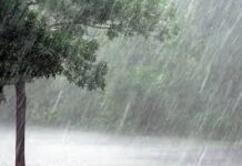 Heavy Rains Predicted In Western Ghats Region Of Tamil Nadu