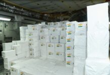 India Sends Second Tranche of Medical Aid to Boost Ebola Response in Africa