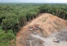 Biodiversity-Linked Downgrades Could Push India Closer To Sovereign Default : Research