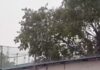 Hyderabad Sees Widespread Rainfall, Brings Relief from Heat