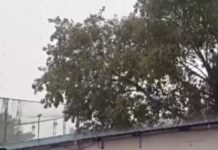 Hyderabad Sees Widespread Rainfall, Brings Relief from Heat