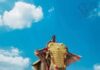 SC Directs Kerala Govt To Take Custody Of State’s Tallest Elephant Raman