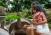 On Curieuse Island, Giant Tortoises Tell A Story of Survival and Hope