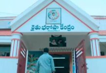 AP To Stop Paddy Purchases After June 16
