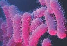 Seven-year-old Child Dies of Shigella In Kerala