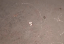 Delhi Man Shot Dead By Bike-Borne Assailants In Dayalpur