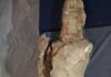 Phanigiri Bodhisattva Sculpture Awaits Restoration