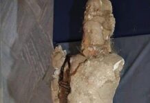 Phanigiri Bodhisattva Sculpture Awaits Restoration