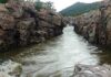 Farmers’ Federation to Approach SC Against Karnataka’s Mekedatu Dam Move