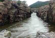Farmers’ Federation to Approach SC Against Karnataka’s Mekedatu Dam Move