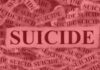 Two Kids Die, Mother Critical in Khammam
