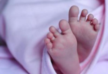1-Year-Old Child of Telugu-Origin Family Dies After Falling From Moving Vehicle in California