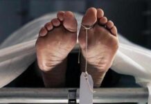 Worker Dies in Fall at Jeedimetla Site