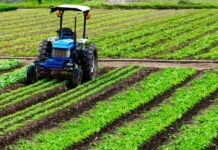 National Agro Walmart Foundations to strengthen 10 FPOs and support AP farmers