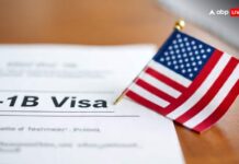 Who Is Neeraj Sharma? Indian-Origin Businessman Faces Loss Of US Citizenship Over Alleged Visa Fraud