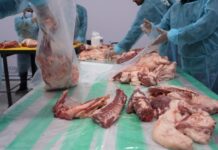 بر الشرقية توزع أكثر من 21 ألف كيلوغرام من لحوم الأضاحي