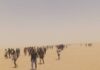 عائدون بعد الاحتفال بالعيد.. 49 شخصا يموتون عطشا في صحراء النيجر