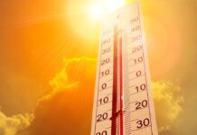 الأحساء الأعلى بـ47 مئوية.. بيان درجات الحرارة في السعودية