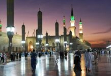 المعتمرون والزوار يحظون بخدمات ميدانية في 19 موقعًا بالمدينة المنورة