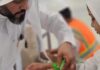 أساور ذكية تحمي الأطفال في المسجد النبوي.. اعرف كيفية الحصول عليها