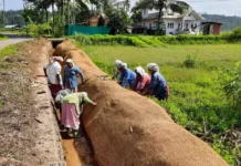Can Climate Action Begin at the Village Level? Here Is What Karnataka Has Planned
