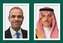 وزير الخارجية ونظيره المصري يبحثان تطورات المنطقة وجهود وقف التصعيد