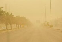 الأماكن والمواعيد.. رياح نشطة وأتربة مثارة على الشرقية