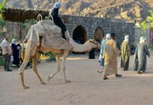 المدينة المنورة.. توظيف التقنيات الحديثة بـ”منطقة جبل أحد الذكية”