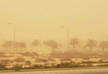 عوالق ورياح.. تفاصيل حالة الطقس على مدن الشرقية السبت