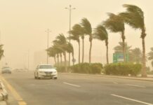 رياح نشطة وأتربة مثارة.. تفاصيل حالة الطقس على مدن الشرقية