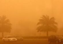 “الإقليمي للعواصف” يرصد 35 ساعة غبارية بالمنطقة.. والمملكة تسجل 4 ساعات