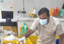 عسير.. ضبط 1324 كيلوجرامًا من الأسماك الفاسدة في خميس مشيط