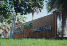 وزير الخارجية ونظيره التركي يبحثان المستجدات الإقليمية