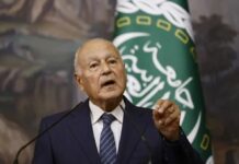 أبو الغيط يعزي المملكة في شهداء سقوط مروحية “أرامكو”