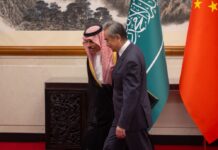 وزير الخارجية ونظيره الصيني يؤكدان أهمية ضمان أمن الملاحة بمضيق هرمز