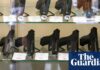 Gun control advocates criticize ‘deeply dangerous’ US supreme court decision on Hawaii law