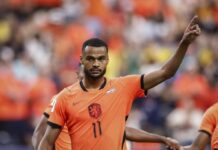 Graham Potter: Sweden will ‘learn a lot’ from Netherlands thrashing
