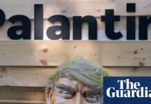 France to ditch AI data tools from Palantir for domestic provider