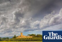 DNA from 2,000-year-old grape seeds points to origins of modern winemaking