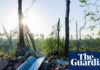Two killed and several injured as tornado rips through southern Illinois