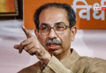 ‘There Is Only One Shiv Sena’: Uddhav Thackeray Counters Amit Shah