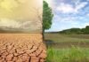 Rangelands: Recognize. Respect. Restore.