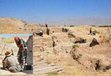 Ancient DNA reveals Zagros foothills as Bronze Age crossroads of peoples and cultures